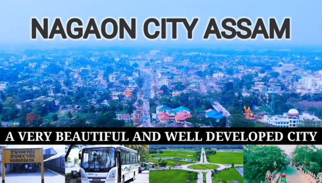 Packers Saathi and Movers in Nagaon