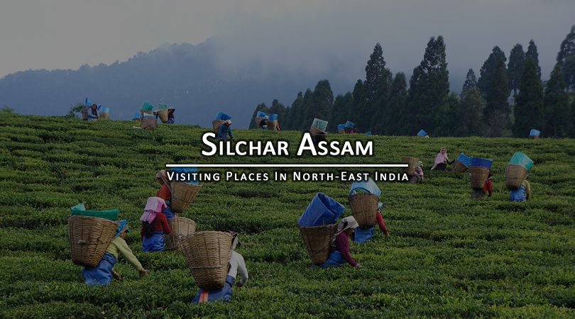 Packers Saathi and Movers in Silchar
